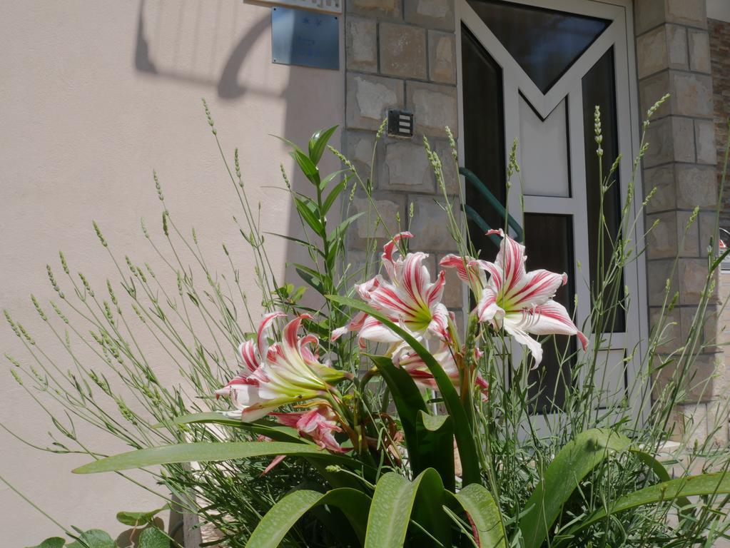 Bečići Guest House Almond מראה חיצוני תמונה